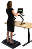 Versatile stand 2" to 24"H with 18''W x 10'' tray with dual fans and USB #EREXECUTIVEW