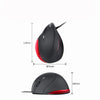 Souris large format et gauchère à 75° USB avec fil de Perixx